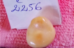 Ăn ốc phát hiện viên ngọc hình giống tượng Phật giá trị lớn